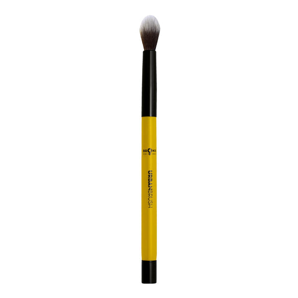 Magnetic large blending brush for blurring and highlighting.